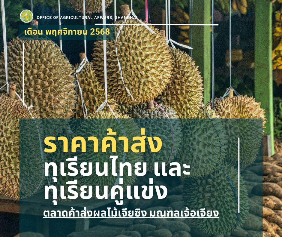 รายงานราคาทุเรียนตลาดเจียซิงมณฑลเจ้อเจียง