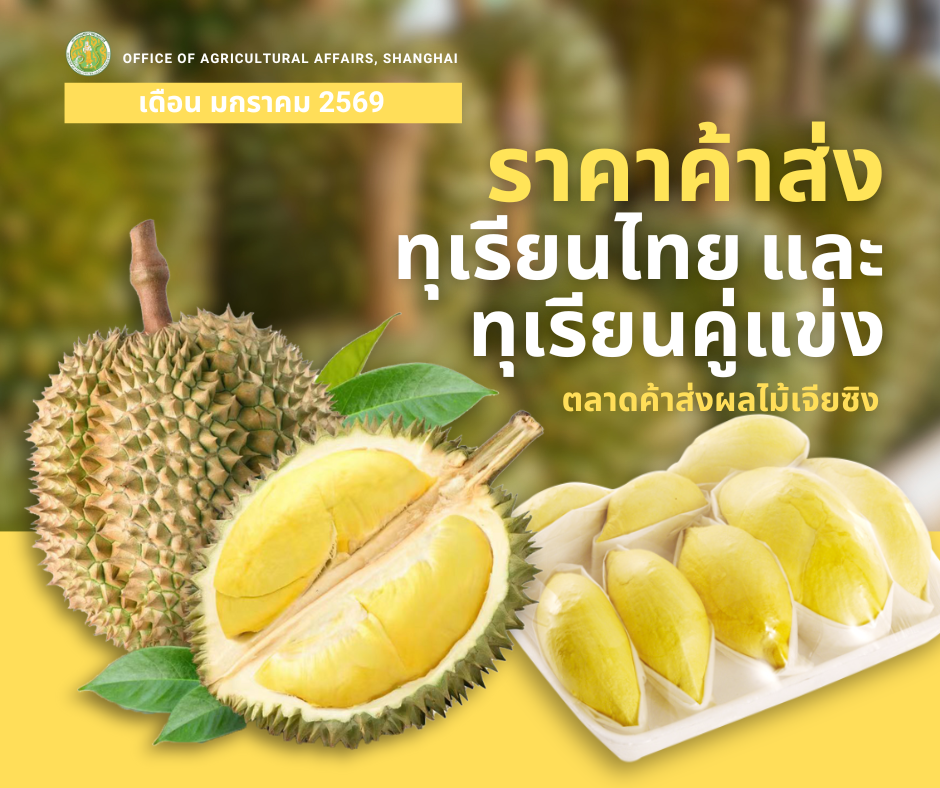 รายงานราคาทุเรียนตลาดเจียซิงมณฑลเจ้อเจียง