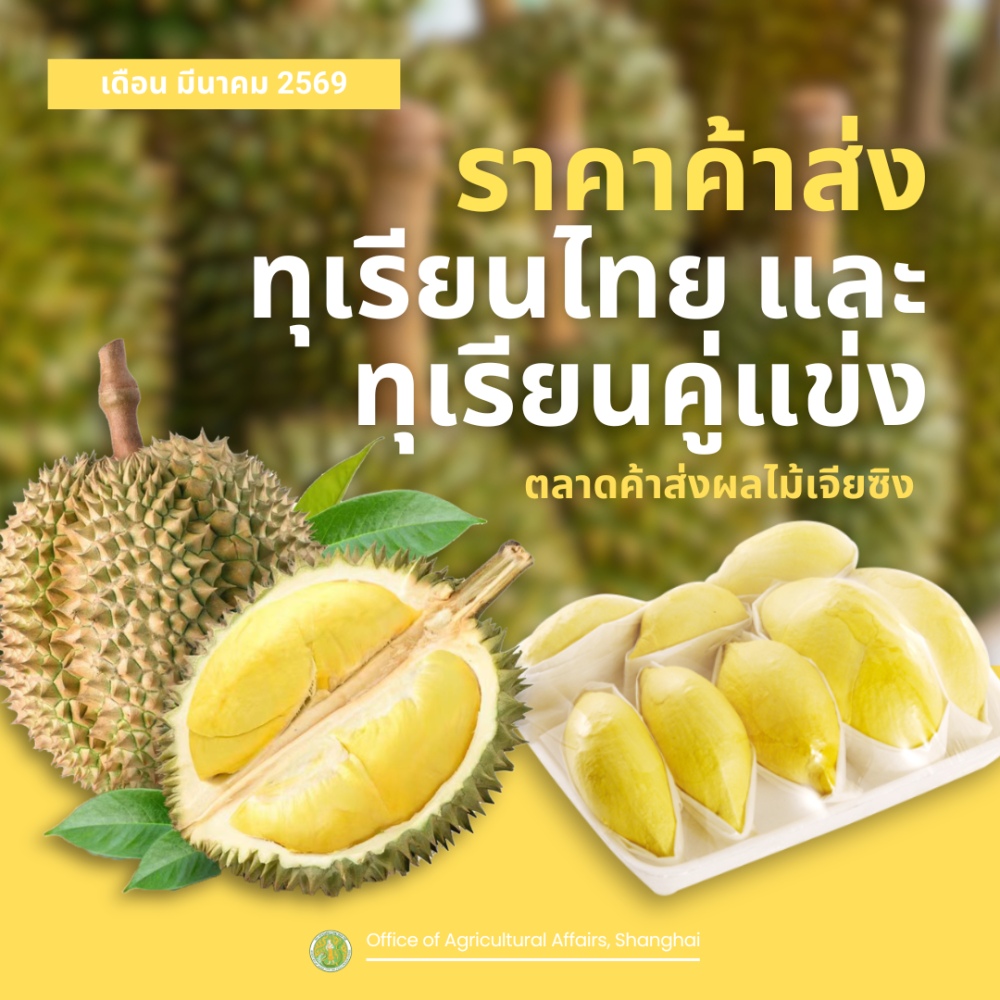 รายงานราคาทุเรียนตลาดเจียซิงมณฑลเจ้อเจียง