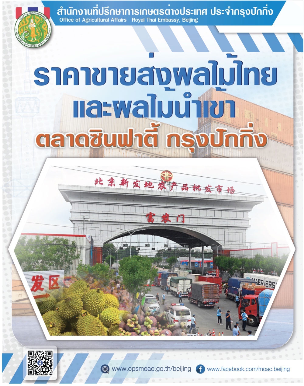 สถานการณ์และราคาผลไม้ขายส่งจากตลาดซินฟาตี้
