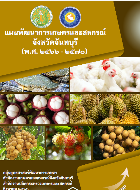 แผนพัฒนาฯ(ฉบับทบทวน)ปี66-70