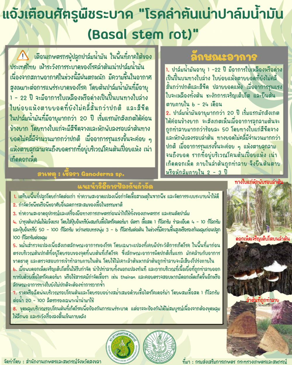 แจ้งเตือนศัตรูพืชระบาด