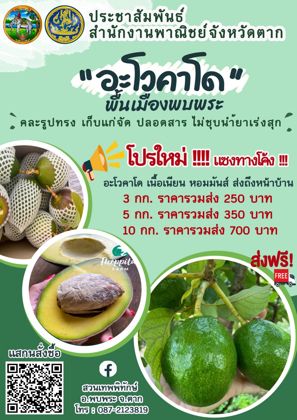 เชิญชวนสั่งซื้อ อะโวคาโด พื้นเมืองพบพระ