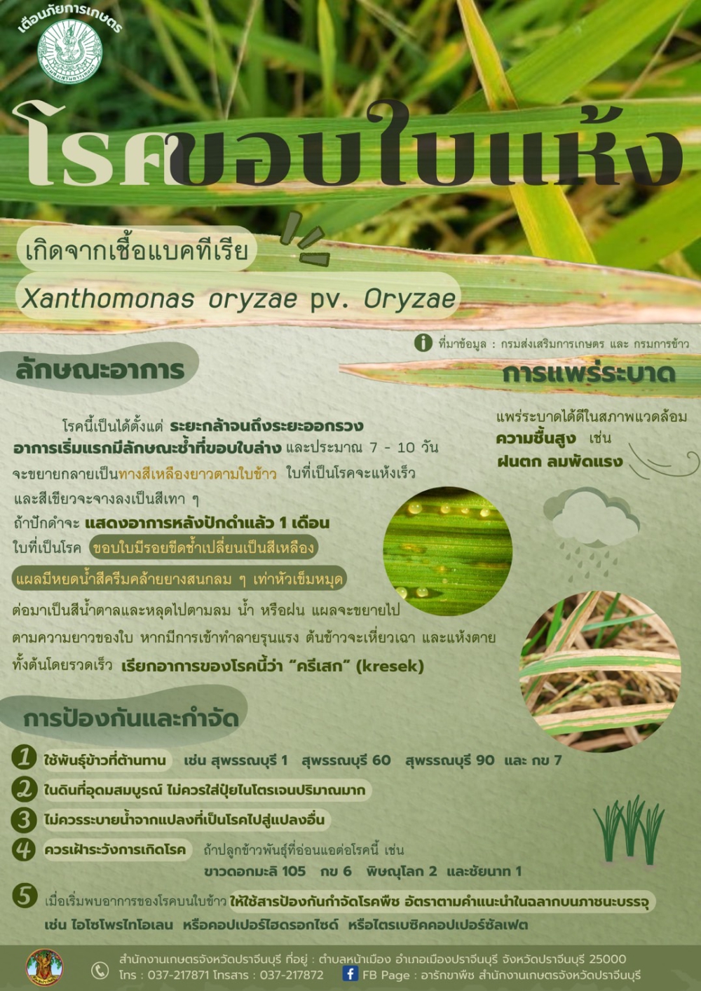 ศัตรูพืชระบาด 4 มกราคม 2566
