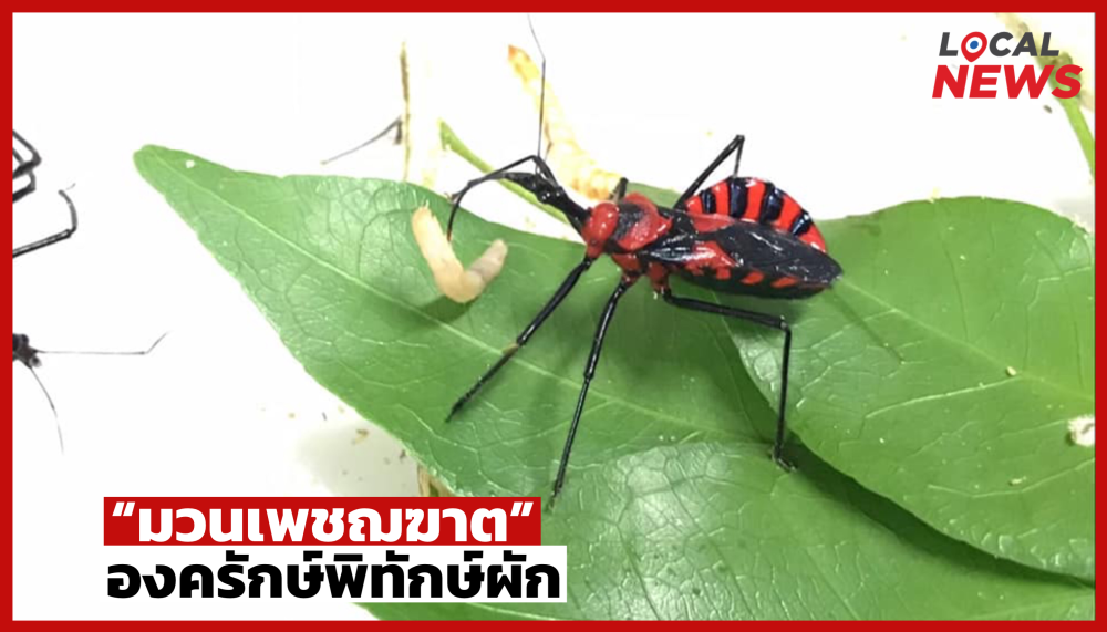 รู้จักศัตรูธรรมชาติ