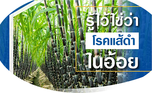 เตือนการเฝ้าระวัง