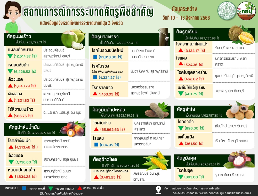 เตือนชาวไร่โดยเฉพาะภาคกลางและภาคตะวันออก