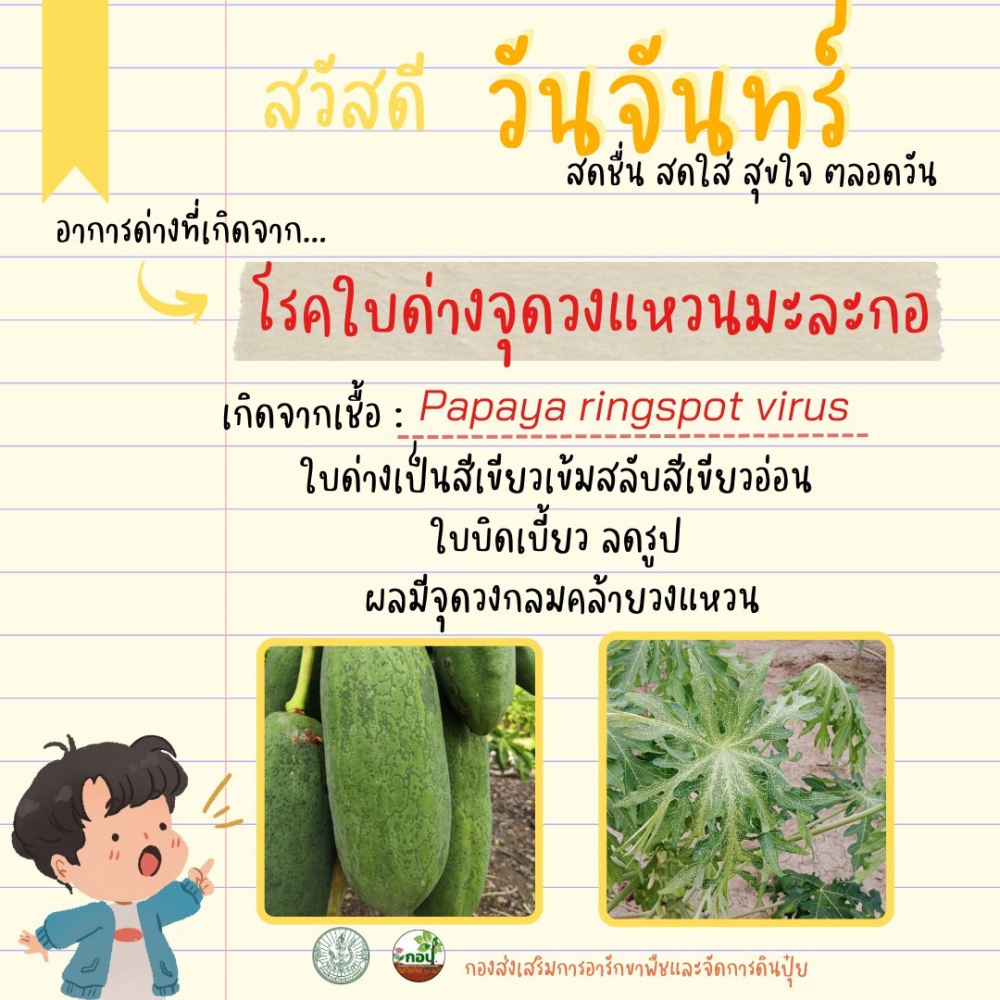 กองส่งเสริมการอารักขาพืชและการจัดการดินปุ๋ย