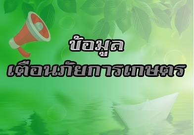 เตือนภัยการเกษตรช่วงวันที่ 20 กันยายน – 3 ตุลาคม 2566