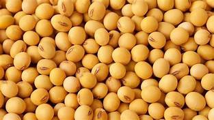 เตือนภัยการเกษตร ช่วงวันที่ 20 กันยายน – 3 ตุลาคม 2566