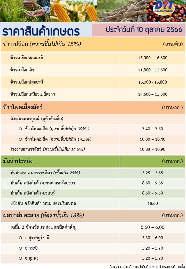 ราคาสินค้าเกษตรประจำวันที่ 10 ตุลาคม 2566