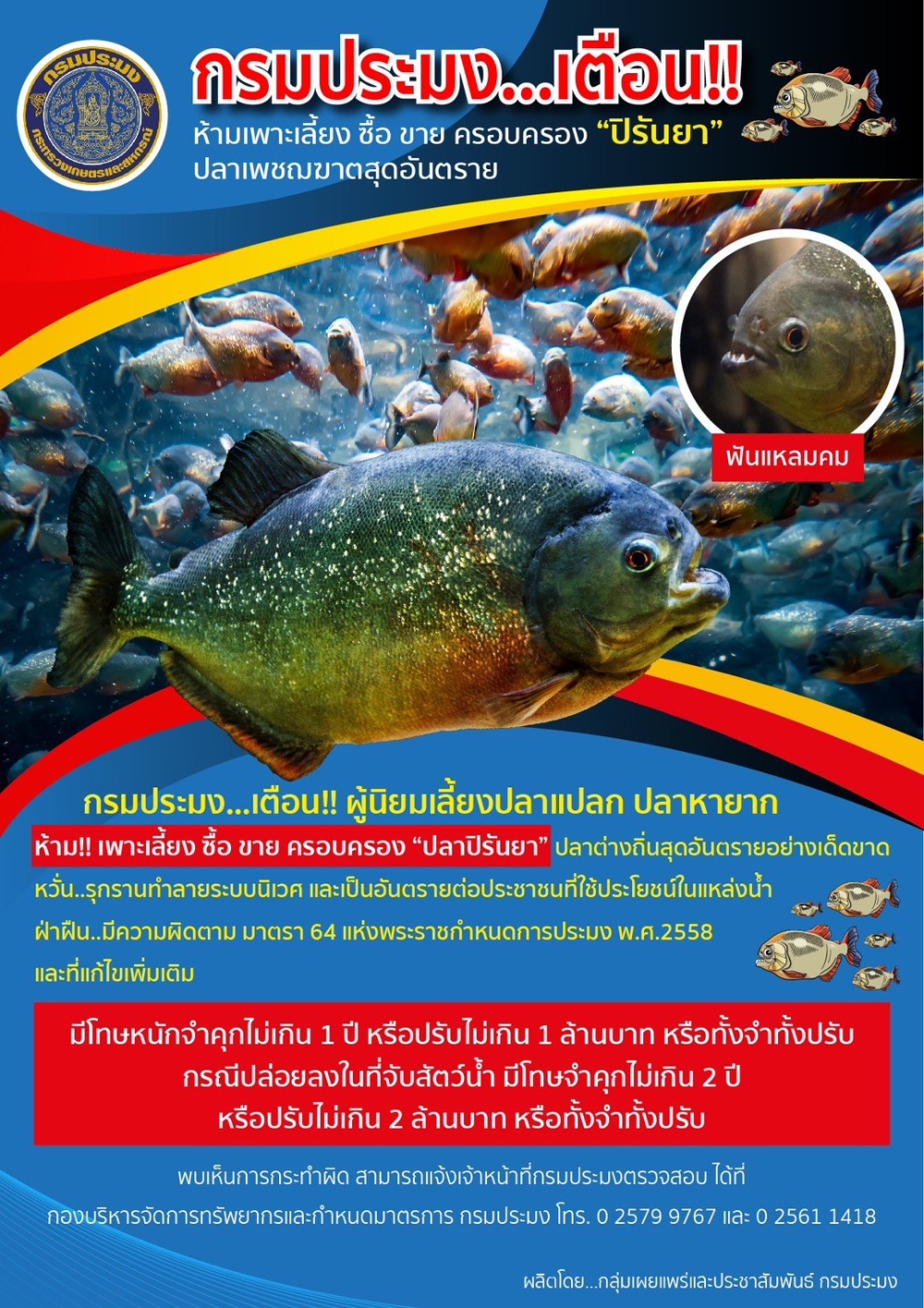 กรมประมง...เตือน!!ห้ามเพาะเลี้ยงซื้อ–