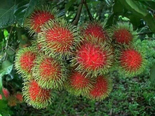 เตือนการเฝ้าระวัง