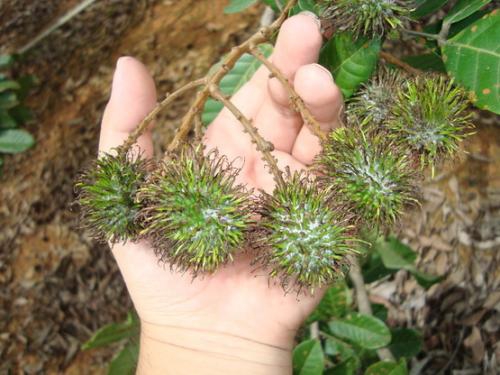 เตือนการเฝ้าระวัง