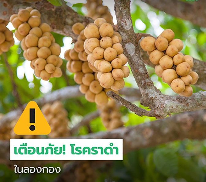 เตือนการเฝ้าระวัง