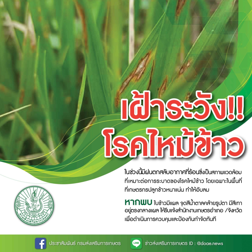 เตือนการเฝ้าระวัง