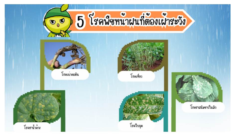 5 โรค ที่พบบ่อยในช่วงฤดูฝน