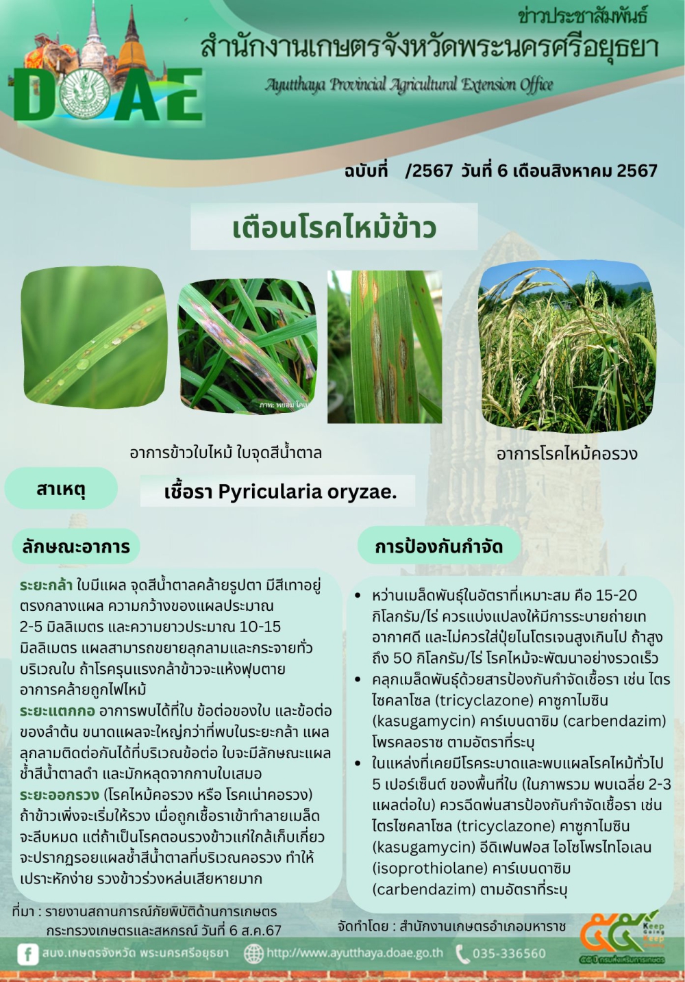 เตือนโรคไหม้ข้าว