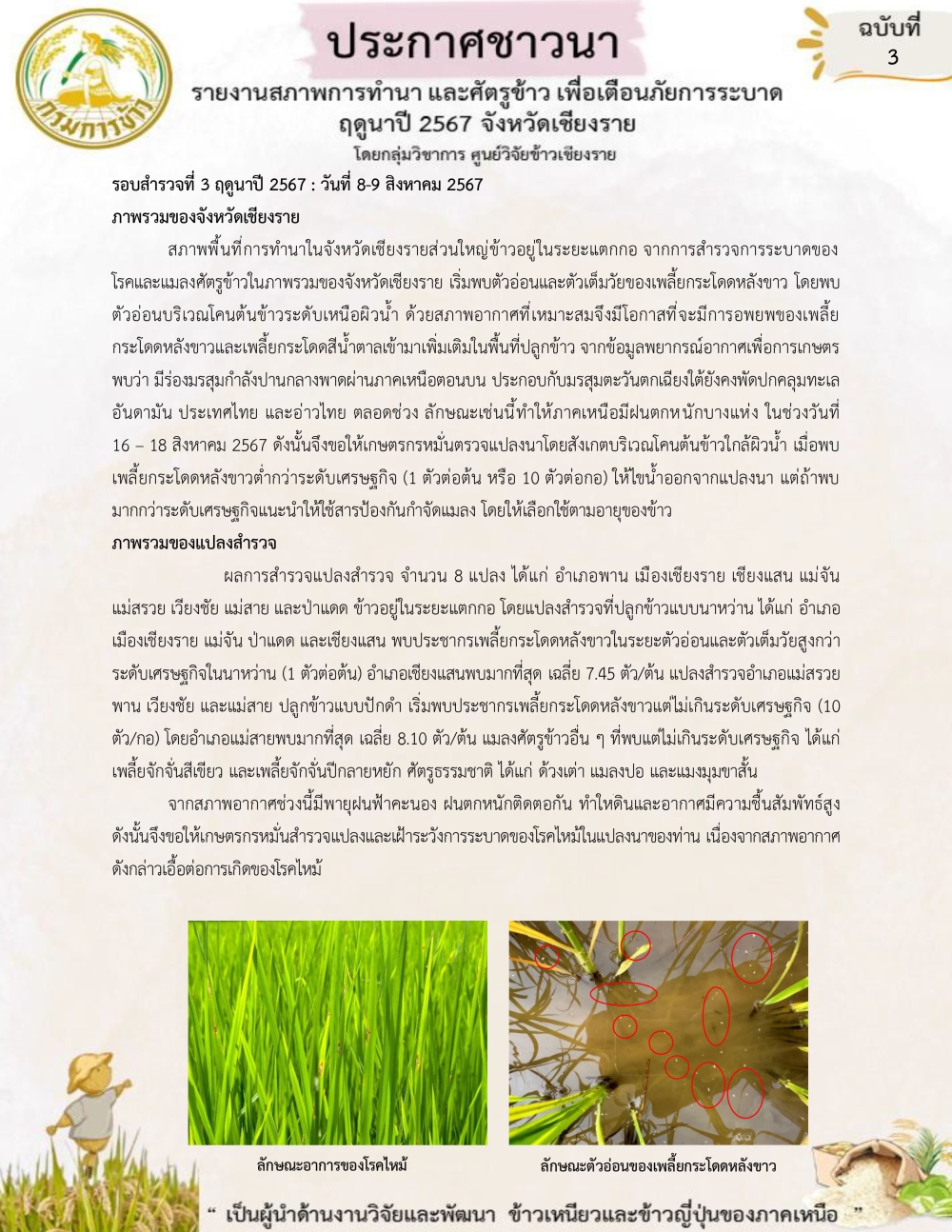 ประกาศชาวนา ฉบับที่ 3  ฤดูนาปี 2567 จังหวัดเชียงราย