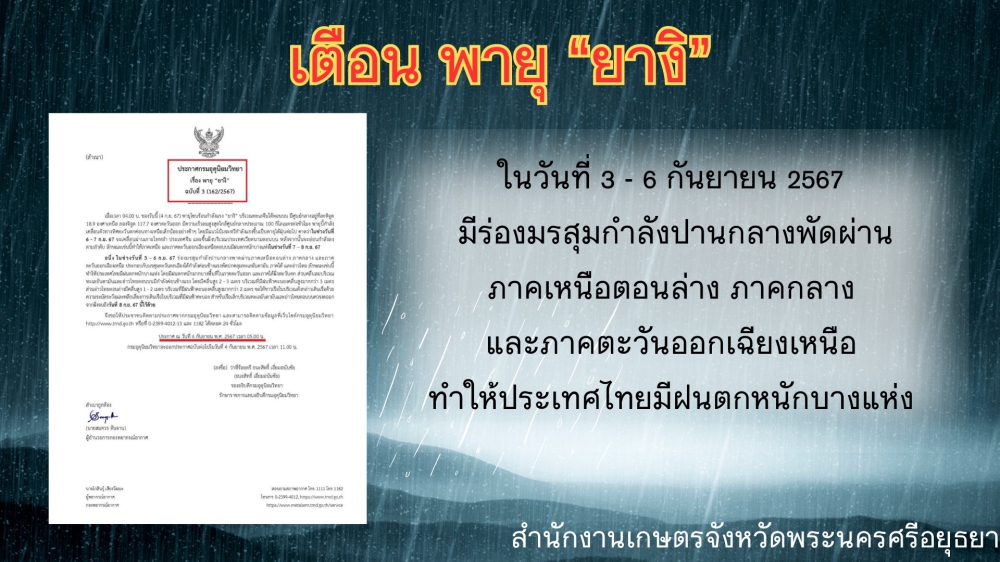 พายุยางิ