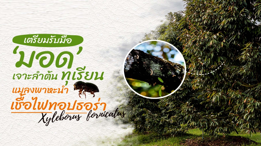 เตือนการเฝ้าระวัง