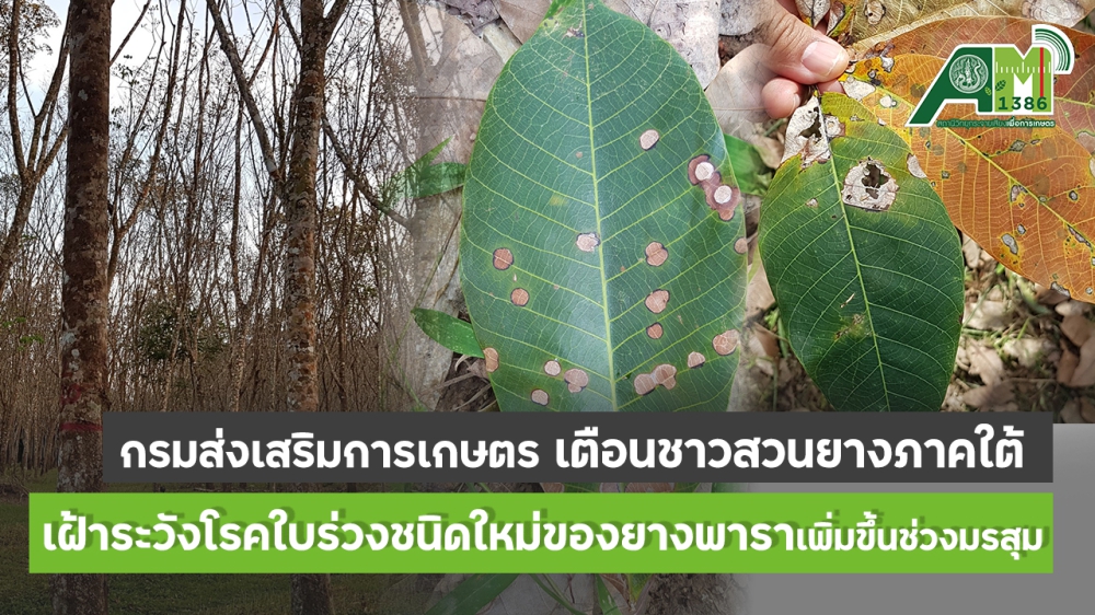 เตือนการเฝ้าระวัง