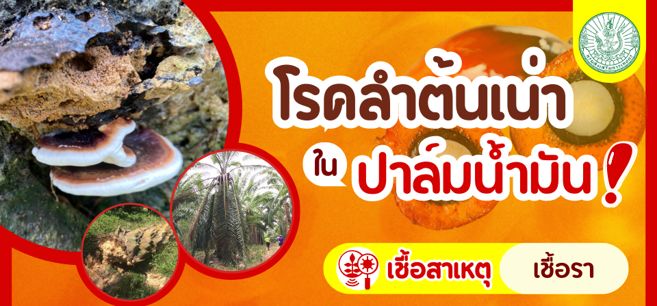 เตือนการเฝ้าระวัง