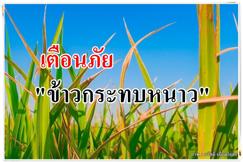 เตือนการเฝ้าระวัง