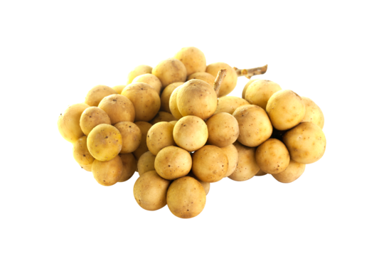 รายงานปริมาณน้ำฝน