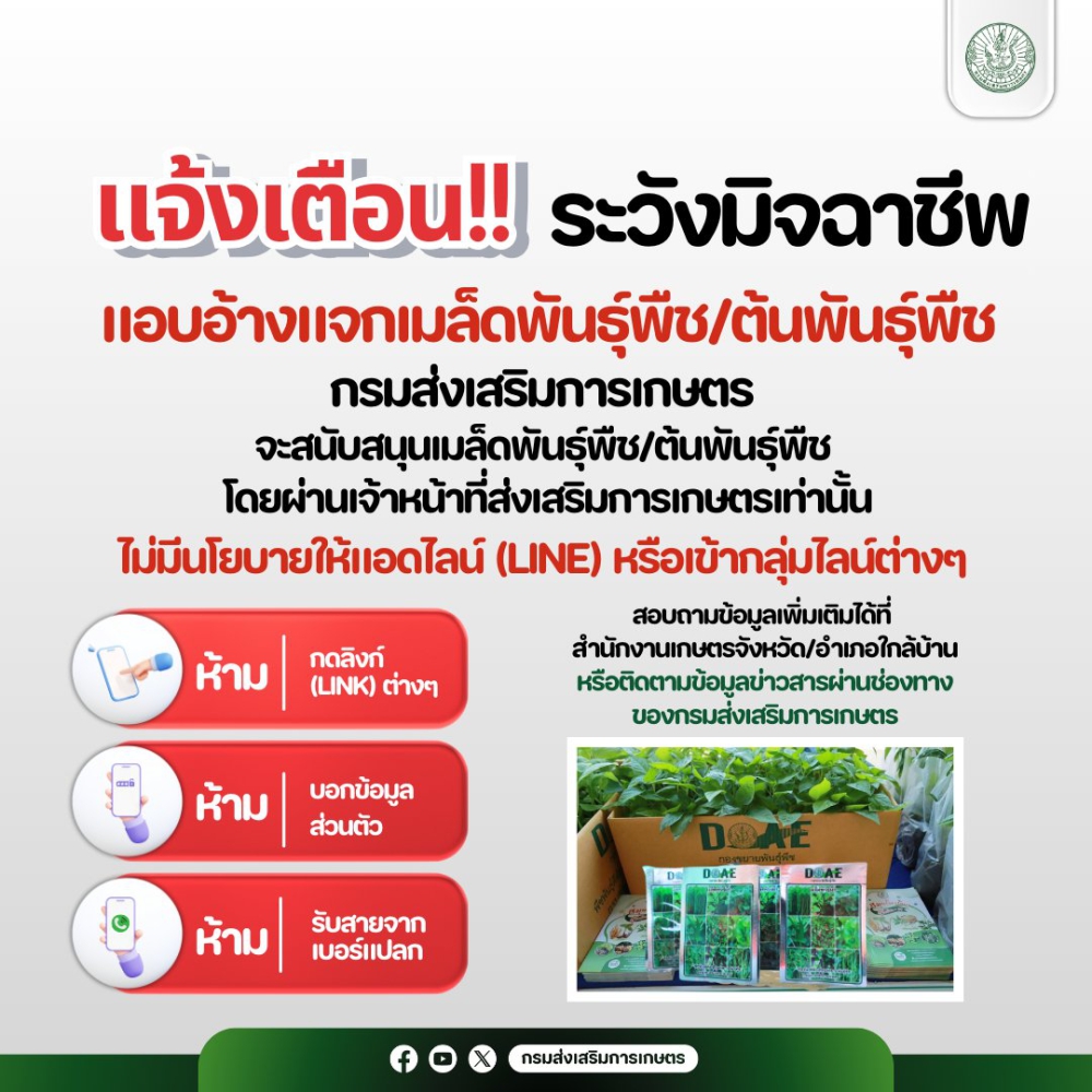 แจ้งเตือนระวังมิจฉาชีพแอบอ้างแจกเมล็ดพันธุ์พืชต้นพันธุ์พืช