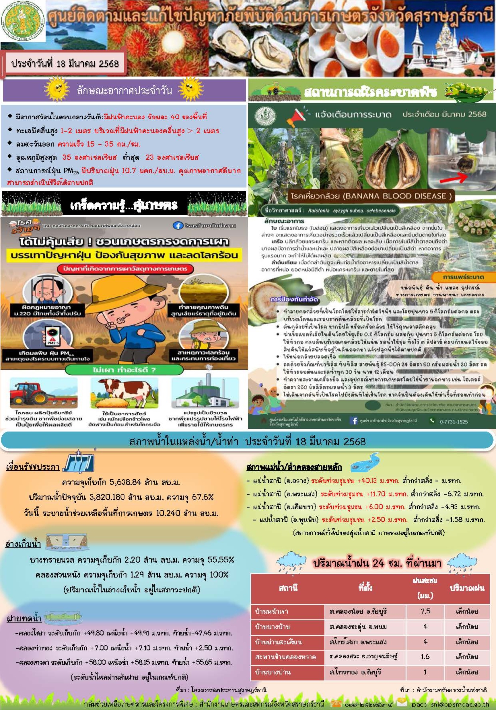 รายงานสถานการณ์ประจำวัน