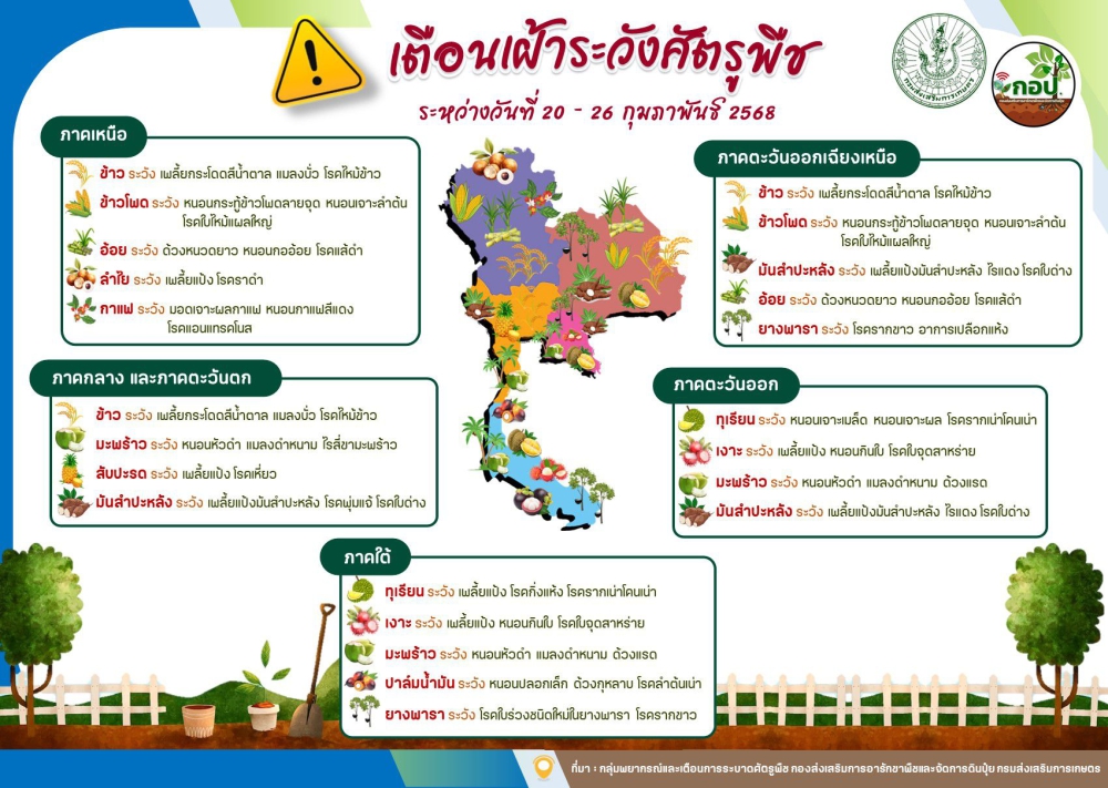 เตือน!!!!!!เฝ้าระวังการระบาดศัตรูพืช