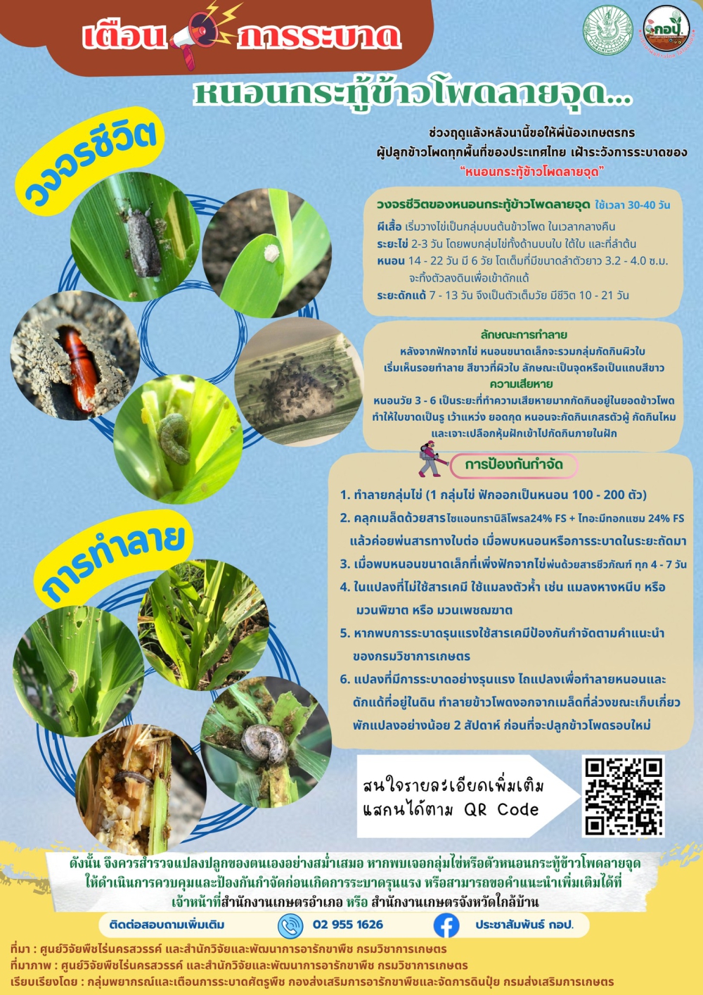 เตือน‼️การระบาดหนอนกระทู้ข้าวโพดลายจุด