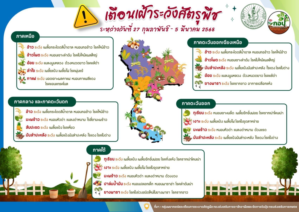 เตือน!!!!!!เฝ้าระวังการระบาดศัตรูพืช
