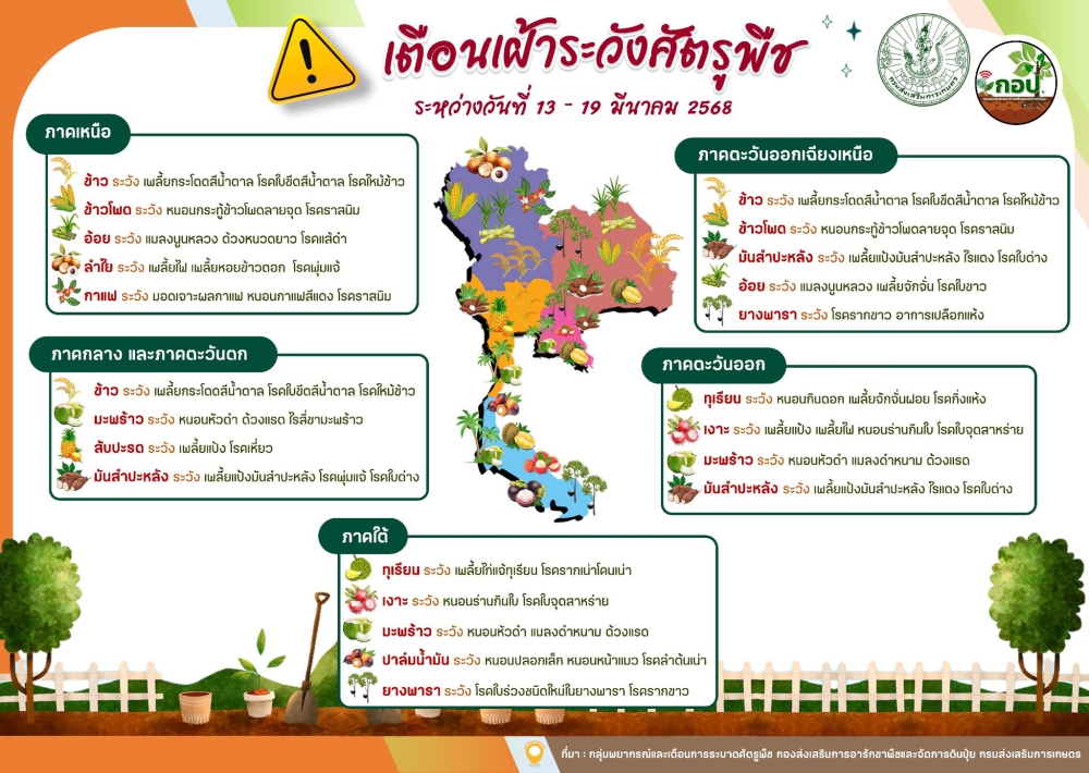 เตือน!!!!!!เฝ้าระวังการระบาดศัตรูพืช