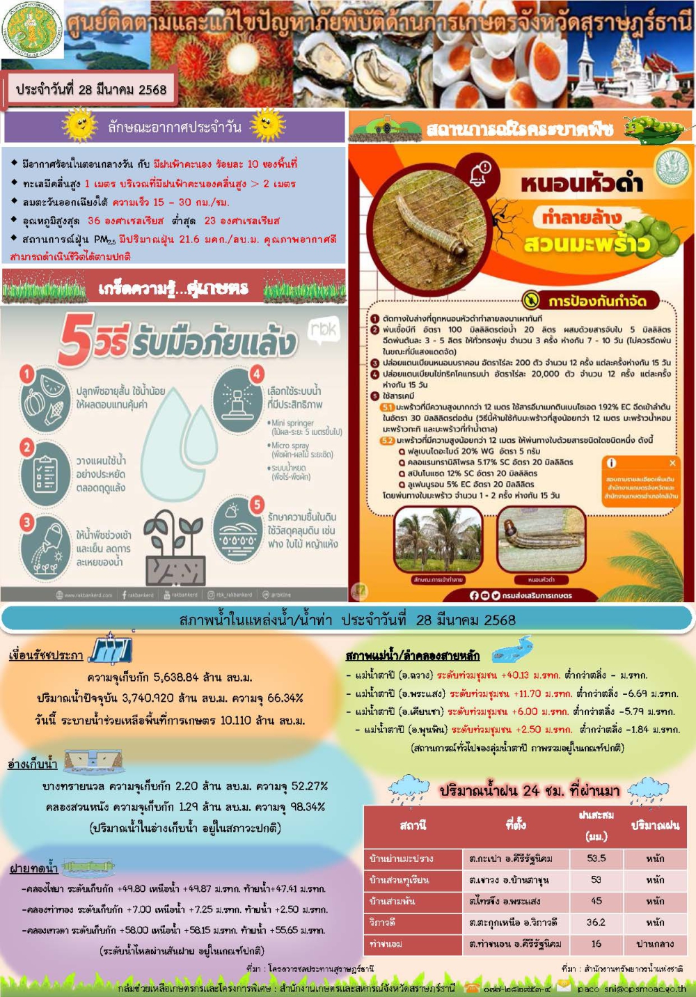 รายงานสถานการณ์ประจำวัน
