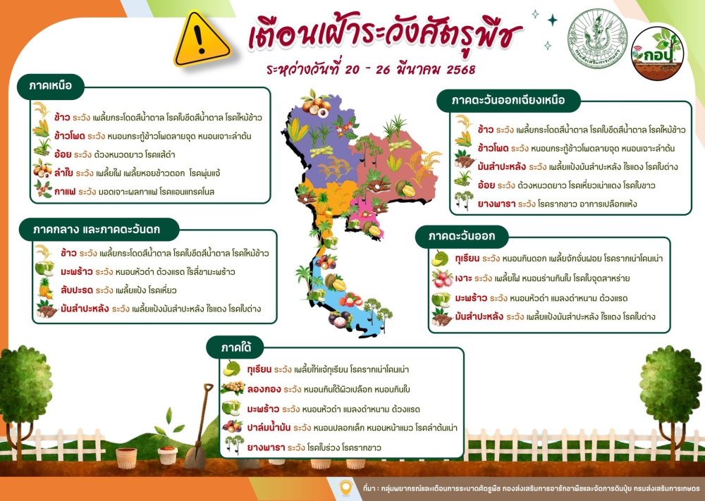 เตือน!!!!!!เฝ้าระวังการระบาดศัตรูพืช