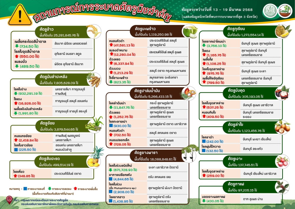 เตือน!!!!!!เฝ้าระวังการระบาดศัตรูพืช