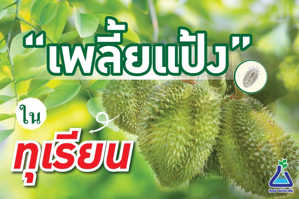 เตือนการเฝ้าระวัง