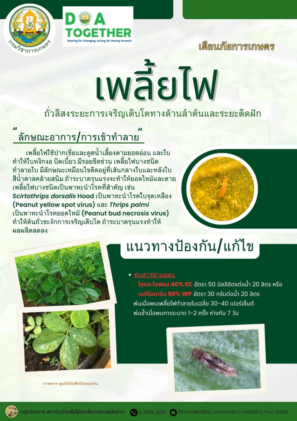 เตือนภัยการเฝ้าระวังแมลงศัตรูพืช