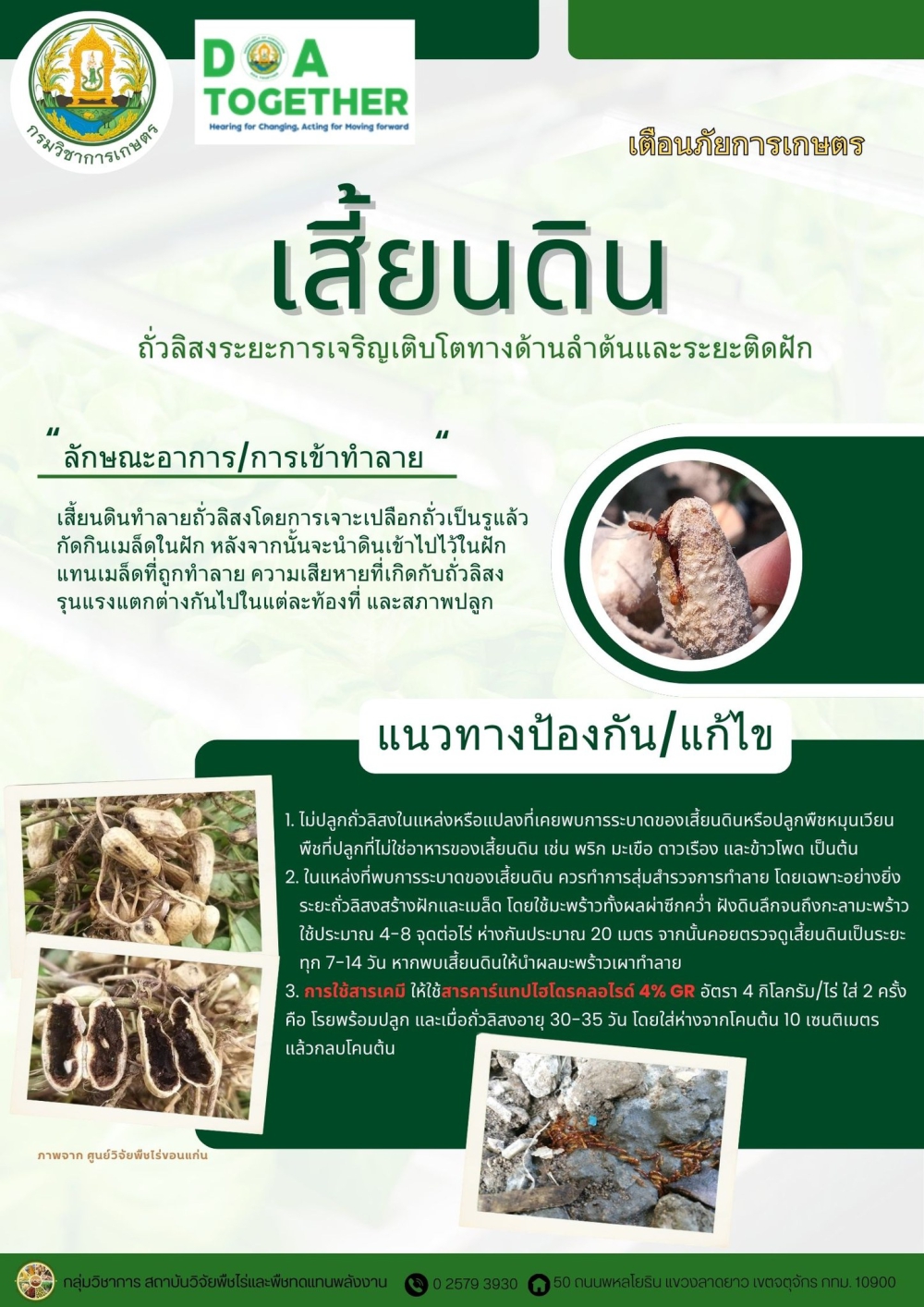 เตือนภัยการเฝ้าระวังแมลงศัตรูพืช