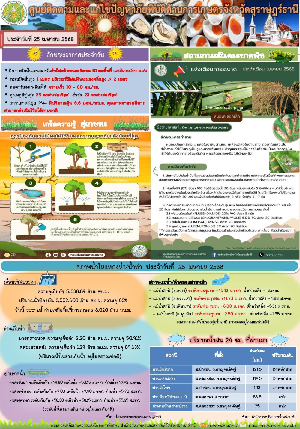 รายงานสถานการณ์ประจำวัน