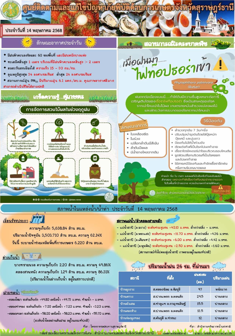 รายงานสถานการณ์ประจำวัน