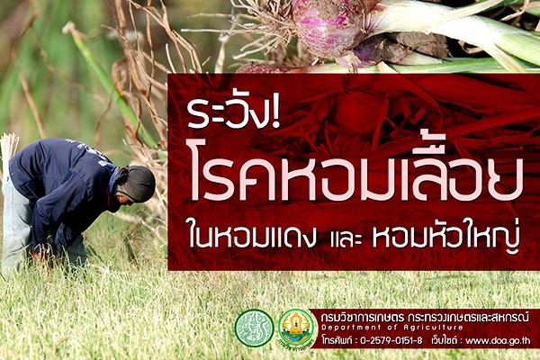 เตือนการเฝ้าระวัง