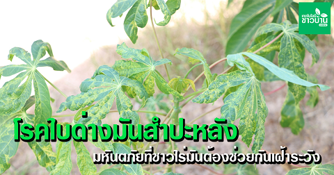 เตือนการเฝ้าระวัง