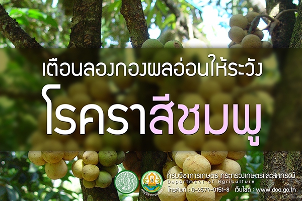 เตือนการเฝ้าระวัง