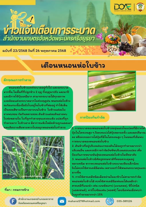 โรคหนอนห่อใบข้าว