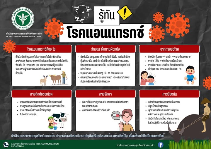 รู้ทันโรคแอนแทรกซ์ (Anthrax) – โรคอันตรายจากสัตว์สู่คน!