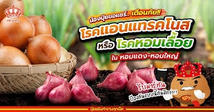 เตือนการเฝ้าระวัง