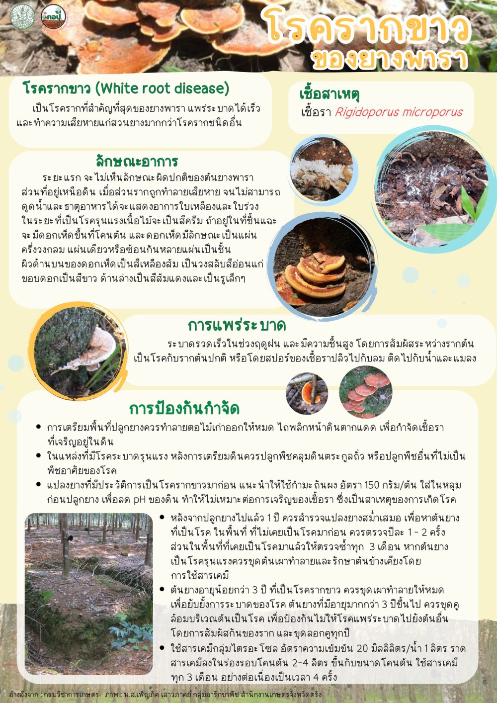 เตือนการเฝ้าระวัง